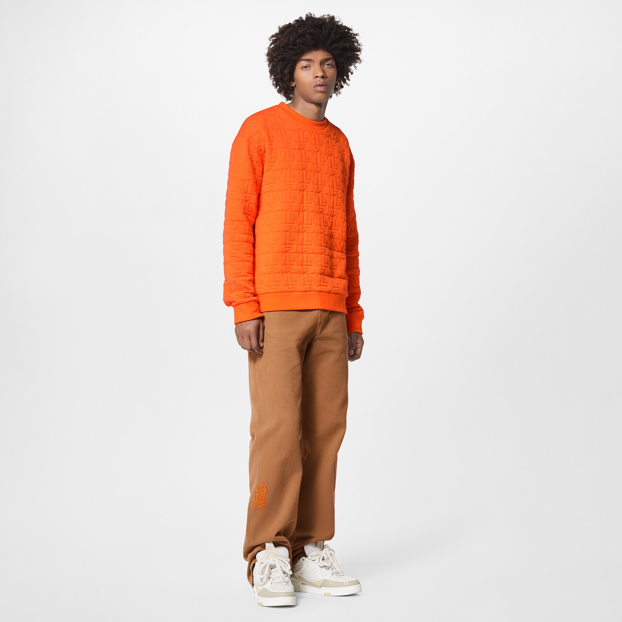 Sudadera acolchada LV Dove  Hombre Prêt-à-Porter Punto y sudaderas | LOUIS VUITTON (Zoom de producto)
