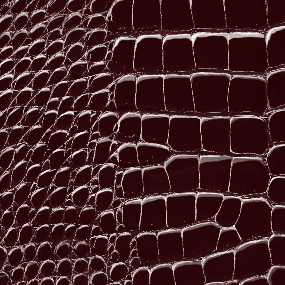 Twist Mini Chain Crocodilien Brillant Les Extraordinaires Personalización  Hidden personalization products | LOUIS VUITTON (Zoom de producto)
