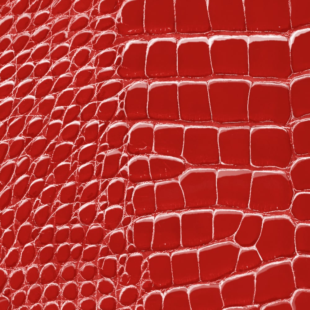 Twist Mini Chain Crocodilien Brillant Les Extraordinaires Personalización  Hidden personalization products | LOUIS VUITTON (Zoom de producto)